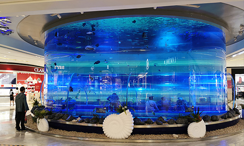 定制大型亚克力鱼缸如何进行美化呢