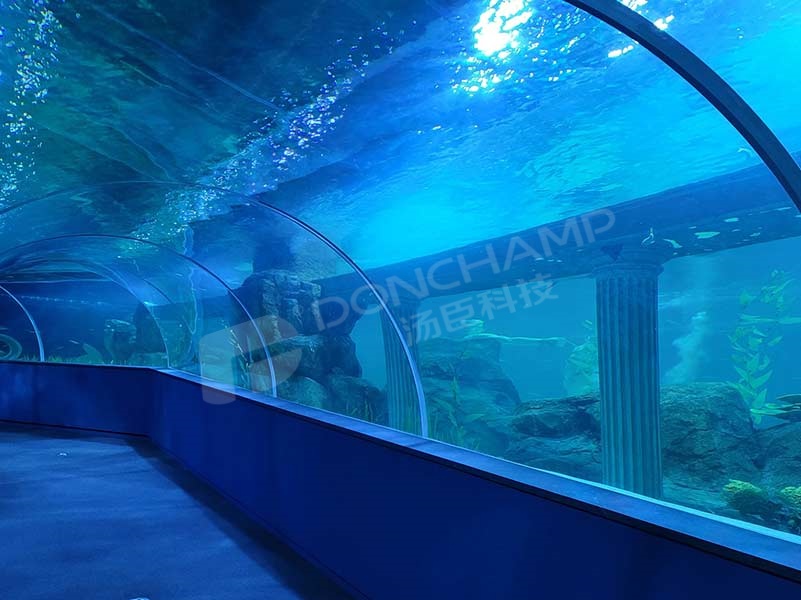 韩国大田水族馆