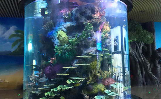 亚克力水族工程施工需要注意哪些关键要素