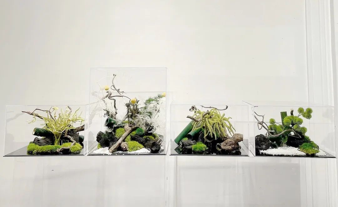 包罗万象、晶彩世界——亚克力微型造景艺术 (8)